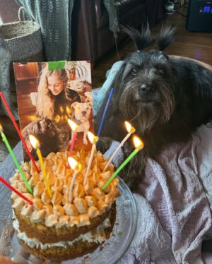Daniela Castro Instagram - #10 •Chalota• 🐶❤️🐾🎊 
Cuando la adopté le prometí que estaría siempre para ella y ella me prometió que no me soltaría. Y así ha sido por 9 años. Bolita de pelos con ojos de aceituna, tufito de erizo y dientes de farkas: haces que mi vida sea más feliz… haces que mi vida sea vida 💘
1. Chaloti gozando su torta
2. Foto cumpleañera
3. Su edición Chaloti Malibú y ambas nos hicimos trenzas con conchitas jajaja
4. Lo que me demoro en ponerle su arnés y su emoción infinita 
5. Chalota’s Cake. Hecha por mi. Si quieres receta reel denle like al comentario que dejaré por si o por no 
6. La trencita Chalota Malibu
7. Cuando cumplió 5 (la torta era menos elaborada)
8. Estos abrazos me dan años de vida. Así la tomo antes de las escaleras mecánicas 
9. Ares y Chalota. 💘 ella es muy buena hermana, un poco mandona, pero buena
10. Cuando trabajé en la radio los 40 íbamos todos los días juntas y ella saludaba a todo el equipo
11. Guapo y Chalota. 😇 se que le costó mucho su partida, lo acompañó a su lado hasta que el ultimo minuto que lo llevamos a dormir
12. Chalota en la gala de viña. Lit fui porque la invitaron a ella
13. Chalota y Rey 👑. Gracias por aceptar siempre a todos los peyis que vienen a la casa
14. El día que llegó. Chaloti con 8-9 meses y yo con 9 años menos. 
Guaf!