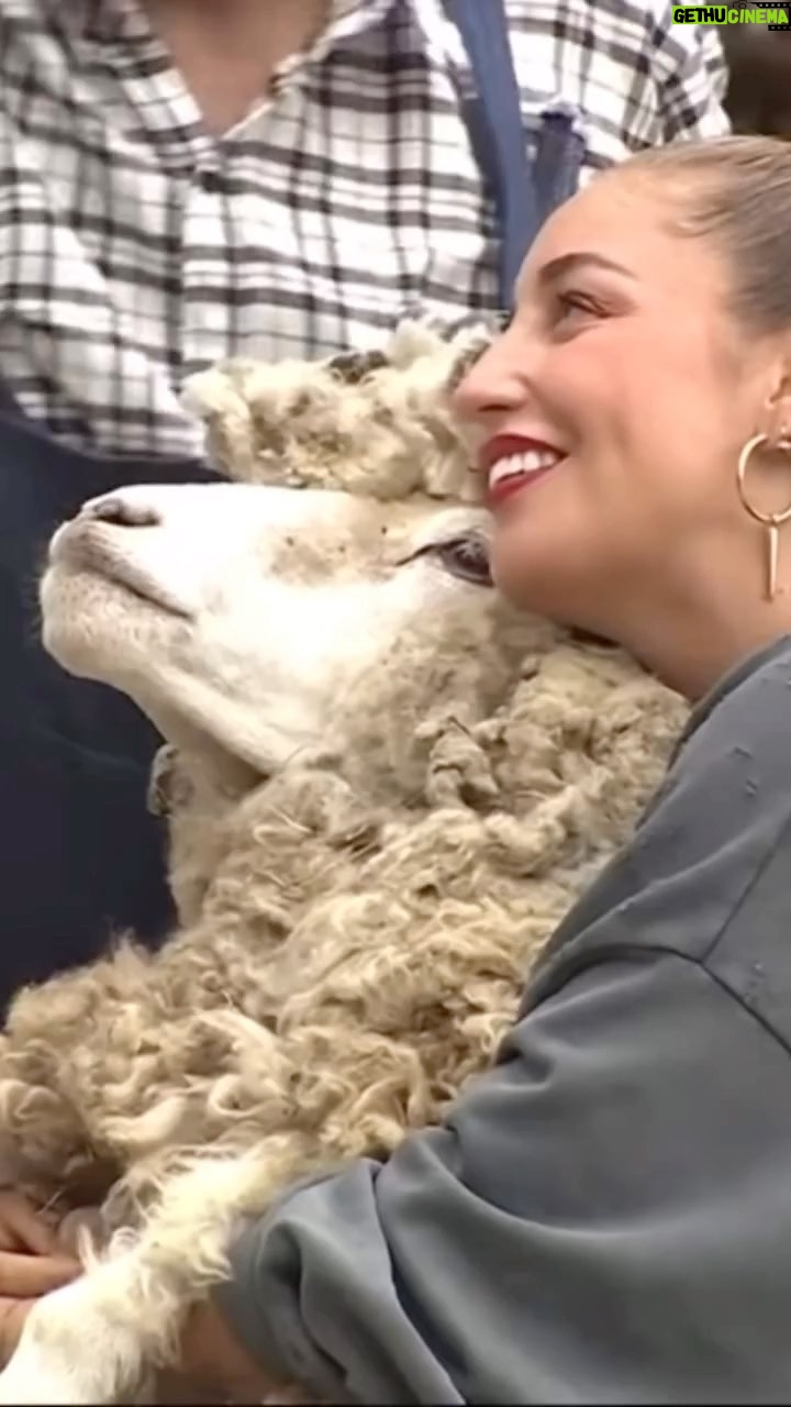 Daniela Castro Instagram - Nuestros momentos favoritos de la semana de nuestra mami en @tierrabrava13 🐶🙌🏼 ¿cuál es el favorito de ustedes? 🤔❓ Les mandamos lenguetazos de amor! Ya estamos listos para ver hoy un nuevo capítulo de @tierrabrava13 Los queremos guapirulis🫶🏼🐾💖 #tierrabrava #canal13 #reality #btsarmy