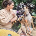 Daniela Luján Instagram - Chismecito de domingo con #Pancetta