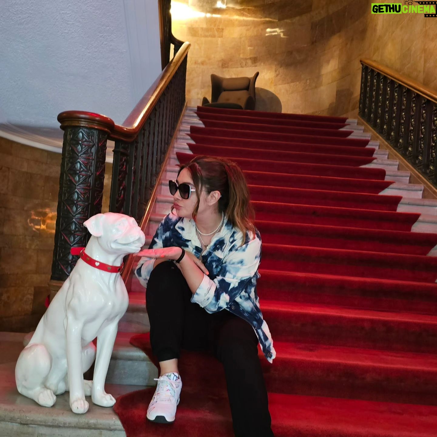 Daniela Luján Instagram - Chicago día 1 "Todo me parece bonito" . . @choosechicagomx @virginhotelschi