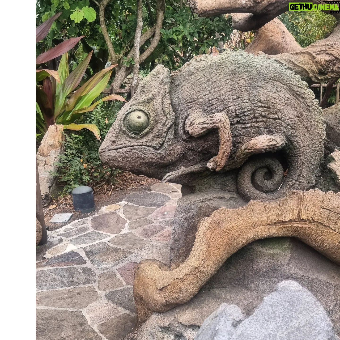 Daniela Luján Instagram - 🐾 Pienso que a Pancetta le hubiera encantado el reino animal... #animalkingdomdisney @dreamdestinationsmexico