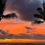Daniela Melchior Instagram – Watch the sunset and tell me again that the end of something can’t be beautiful. 💛