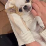 Daniela Nicolás Instagram - Fotos y videos random del teléfono! Sorry, pero la mejor es la última 🤣🤣🤣🤣