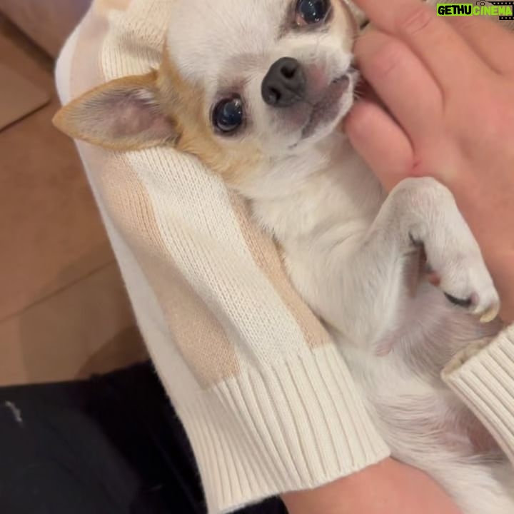Daniela Nicolás Instagram - Fotos y videos random del teléfono! Sorry, pero la mejor es la última 🤣🤣🤣🤣