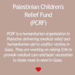 Daniela Ruah Instagram - Thank you for compiling these @mercedesmason ! Donate if you can, every little will help victims on both sides of this horrendous war ♥️🫶🏼 . #Repost @mercedesmason ・・・ Please help if you can. Civilians should never have to pay the price of war mongering psychopaths. Don’t let misinformation and propaganda blind you to the innocent lives being lost. Thank you to these organizations for what you do! @doctorswithoutborders @unitedhatzalahofisrael @aneraorg @thepcrf @jdcjoint @magen_david_adom_america #ChooseKindness #ChooseLove