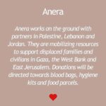 Daniela Ruah Instagram - Thank you for compiling these @mercedesmason ! Donate if you can, every little will help victims on both sides of this horrendous war ♥️🫶🏼 . #Repost @mercedesmason ・・・ Please help if you can. Civilians should never have to pay the price of war mongering psychopaths. Don’t let misinformation and propaganda blind you to the innocent lives being lost. Thank you to these organizations for what you do! @doctorswithoutborders @unitedhatzalahofisrael @aneraorg @thepcrf @jdcjoint @magen_david_adom_america #ChooseKindness #ChooseLove