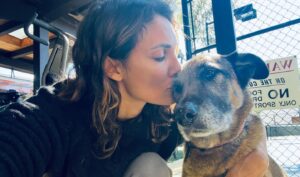 Daniela Ruah Instagram - Mothering… #MothersDay
.
A ser mamã…
#DiadaMãe
.
#mama #mãe #River #Sierra #kids #pups #grandma #vovó #Sunday #Domingo #diadamãe (EUA) #puppymom #Roxy #Ice