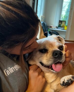 Daniella Salvi Instagram - My sweetie Coco ❤️ You were with us 16 beautiful years since I was 8 years old. This is so hard for me, I wish you were still here Coco :( I couldn’t leave a room without you looking for me and barking for me to come back to you and hold you. Our love was beyond words. It was pure, it was innocent and it made me who I am today. I love you forever my babyboy. Thank you for being the amazing baby you were to me. Now you can rest with your brother Sparky in heaven. My forever angels ❤️ I can’t thank you both enough for growing up with me. I miss you forever ♾️