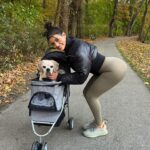 Daniella Salvi Instagram – My baby Coco’s first time in his stroller! 🐶❤️ My angel is turning 16 soon and is still so strong and full of life but he gets tired after 5-10 minutes into walking now. So we got him a stroller so we can go to more places together 🥰🍂 He loves observing his surroundings 🤍 jacket: @revolve