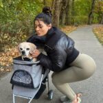 Daniella Salvi Instagram – My baby Coco’s first time in his stroller! 🐶❤️ My angel is turning 16 soon and is still so strong and full of life but he gets tired after 5-10 minutes into walking now. So we got him a stroller so we can go to more places together 🥰🍂 He loves observing his surroundings 🤍 jacket: @revolve