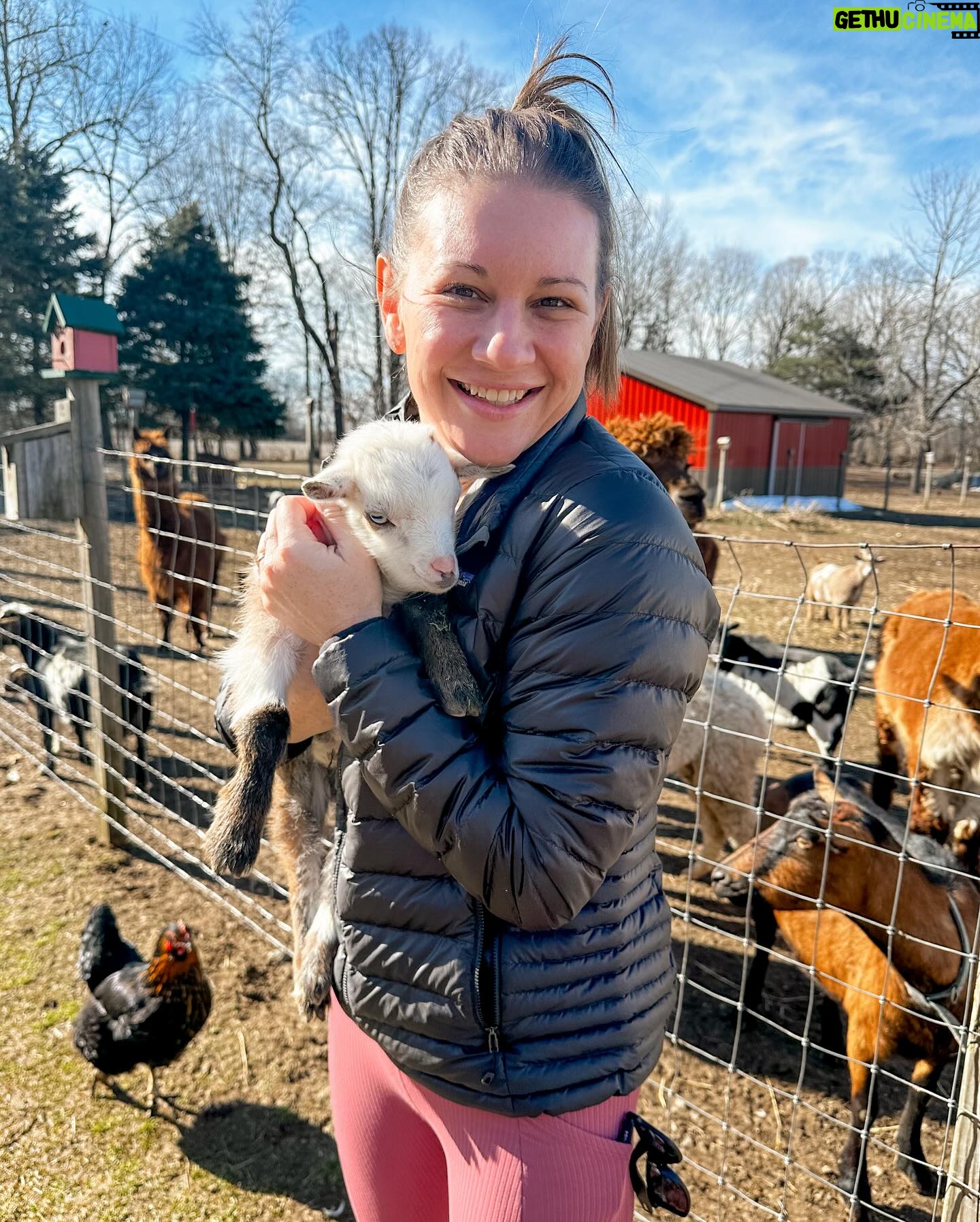 Danielle Busby Instagram - Enjoying my bestie time away this week! Nothing better than a sweaty workout then a stop at @lowryslittleflockfarm ! Love it here! Makes me want to live in the country.. well besides the part where the alpaca spit on me, twice 🤣 #busbyventure #farmlife #itsabuzzworld