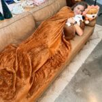 Danielle Busby Instagram - Work day?? Or cuddle day?? 🥰 just a bit obsessed with these Huggie Pals! Blanket is inside and look how big the blanket is!!! I think I found my replacement for my travel piggy #ifyouknowyouknow 😂 But which one should I choose? 🐶 / 🦁 #graesonbee #graesonbeeboutique #holidaygifts