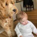 Danielle Savre Instagram - These two have my heart forever 🐾🍼