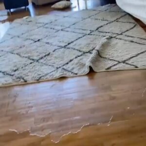 Danneel Ackles Instagram - This Texas Children’s shelter needs our help! Link in Bio or : Txt to Give to SAFE: Text “@SAFE” to 52014 and follow the prompted instructions. you can ship items to us too! Here is a link to our wishlist: https://www.safeaustin.org/get-involved/wishlist/ where you can find our Amazon and Target lists that will ship directly to SAFE ❤️ (link in bio)

UPDATE: We really need drinking water and drinks with electrolytes like Gatorade, snacks and non-perishable food. You can drop them off in front of the Children’s Shelter tonight, but we will also need them tomorrow. ❤️

Things at SAFE are rough right now and if you’re in a position to help, we need some support. At our Children’s Shelter, pipes burst in two of our five cottages. One of these cottages was our Teen Parent and Early Childhood cottage, which houses teen parents in the foster care system and their babies. We moved kids, mattresses, and baby beds to another cottage, only to have the same thing happen again. We are now shuffling some kids and staff across town to ensure that we have space, including beds for staff who are taking double shifts when other youth care workers are stuck in the snow.

The Children’s Shelter needs the following: drinking water, frozen pizzas, cold and hot cereal, and wipes. You can drop them off at the Children’s Shelter at 4800 Manor Road. Or you can make a donation to safeaustin.org/donate. Thank you to our community—we hope you are safe and warm.

@jvn @together.rising @brenebrown @chrissyteigen @willnelsonofficial @austinmomsblog @spaceykacey