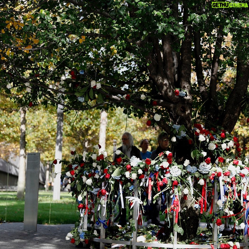 Danneel Ackles - 69.9K Likes - I remember September 11, 2001, as a day when we faced our greatest fear as a nation, but also as a day that we came together. We watched helplessly as both our fellow Americans and those from all parts of the world lost their lives in the attacks. We prayed for our first responders as they bravely charged towards certain danger. It was a time of uncertainty and our future felt in jeopardy, but we came together and out of that tragedy was born resilience and hope. We knew at that time that we must stand together and support each other. A lesson our country should always remember. #neverforget ⠀⠀⠀⠀ ⠀ ⠀⠀📸The Survivor Tree- Jim S. Lee