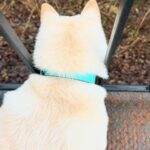 Dasha Astafieva Instagram - Березневі рандоми🐽