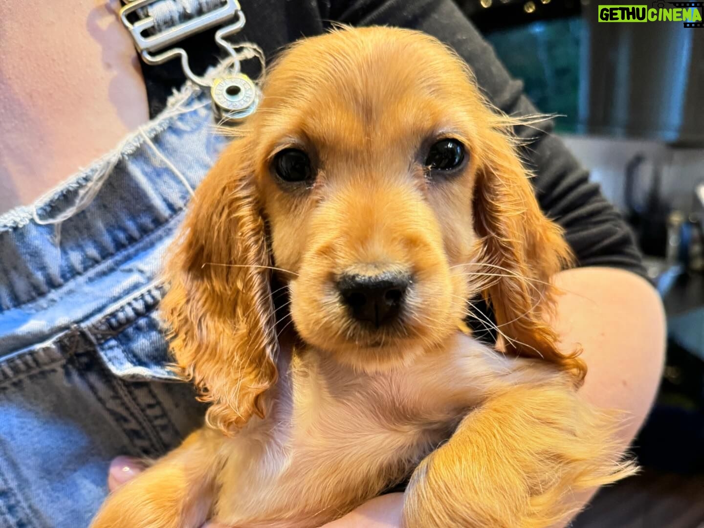 Davina McCall Instagram - Had to post this straightaway. Because my best mate, @sarahhiscox23 and I have just spent the most idyllic three hours with two very old friends, weve known @andioliver since we were teenagers and I used to babysit @miquitaoliver . I love this podcast it was beyond exciting to be on it. To be honest I completely forgot we were recording a podcast ( @stirringitup ) it just felt like a marvellous catch up with very old friends β¦. we laughed, we cried. Okay, well, I cried πππππ It was like therapy with fucking great food, which in my mind is the best kind of therapy π₯°π₯°π₯°β¦ connecting with old friends. Food for the soul π₯°π₯°π₯°π₯°