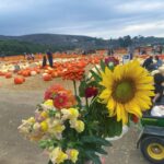 DeVore Ledridge Instagram - Left with: 2x bouquets of flowers 2x mini pumpkins 2x medium pumpkins 3x avocados 6x ears of corn 2x temporary tattoos