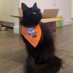 DeVore Ledridge Instagram – a September to remember