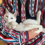 DeVore Ledridge Instagram – a September to remember