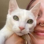 DeVore Ledridge Instagram – my little field mouse