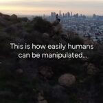 Debra Messing Instagram – This is powerful. 
We are all vulnerable. 

The only protection we have from falling victim to misinformation is to research facts from reputable sources. 

Facts from History books. Not TicToc. 

Opinions don’t determine the size of the circles in the video. 

#factsmatter #disinformation #propaganda