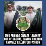 Debra Messing Instagram - Here are three stories that made me feel hopeful for the future. They reminded me that innovation and positive change are always happening around us. 🌵 Two friends created leather out of cactus, in turn saving 1 billion animals from being killed for the sake of fashion. Adrian and Marte, who are based out of Mexico, call this vegan leather “Desserto” and it is shocking how similar it looks and feels to real leather “without harming the environment or animals in the process.”— a creative and thrilling discovery that will make the fashion industry more humane and sustainable. Via @insidehistory 🐻 Two men who served nearly 17 years in prison after being wrongly convicted of attempted murder after a 2004 shooting were declared innocent. Under a new law in California, the state is required to pay them each $140 for every day they spent behind bars—never enough, but at least establishing consequences for grave injustices in our penal system. Via @insidehistory 🍌France becomes the first country to pass a law prohibiting food waste by supermarkets, making it mandatory for all its supermarkets to give away the unsold food to those in need. Let’s go World! Let’s all do this! Via @wastefreeplanet