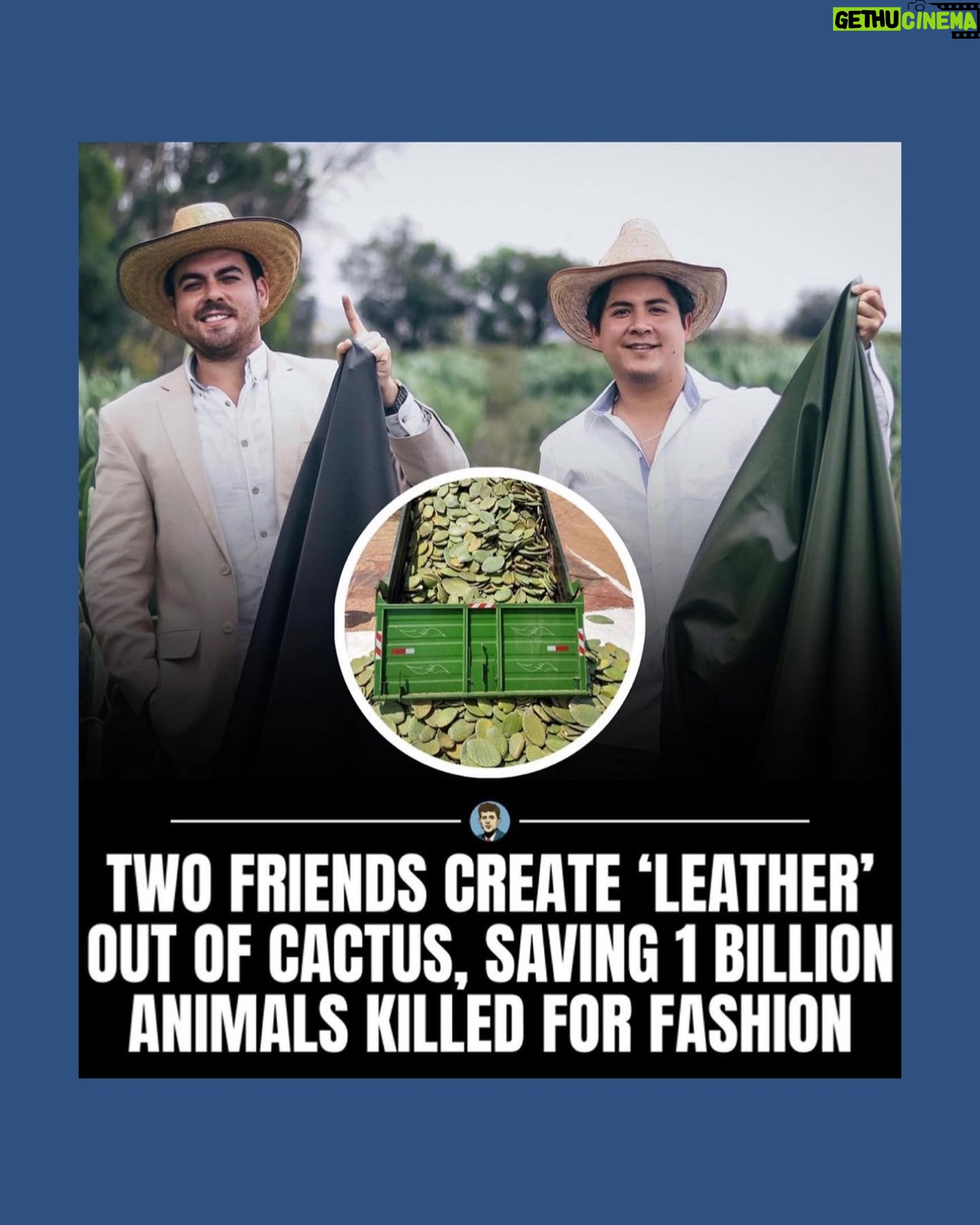 Debra Messing Instagram - Here are three stories that made me feel hopeful for the future. They reminded me that innovation and positive change are always happening around us. 🌵 Two friends created leather out of cactus, in turn saving 1 billion animals from being killed for the sake of fashion. Adrian and Marte, who are based out of Mexico, call this vegan leather “Desserto” and it is shocking how similar it looks and feels to real leather “without harming the environment or animals in the process.”— a creative and thrilling discovery that will make the fashion industry more humane and sustainable. Via @insidehistory 🐻 Two men who served nearly 17 years in prison after being wrongly convicted of attempted murder after a 2004 shooting were declared innocent. Under a new law in California, the state is required to pay them each $140 for every day they spent behind bars—never enough, but at least establishing consequences for grave injustices in our penal system. Via @insidehistory 🍌France becomes the first country to pass a law prohibiting food waste by supermarkets, making it mandatory for all its supermarkets to give away the unsold food to those in need. Let’s go World! Let’s all do this! Via @wastefreeplanet