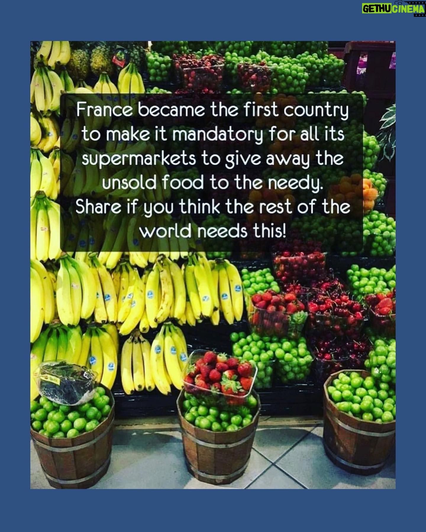 Debra Messing Instagram - Here are three stories that made me feel hopeful for the future. They reminded me that innovation and positive change are always happening around us. 🌵 Two friends created leather out of cactus, in turn saving 1 billion animals from being killed for the sake of fashion. Adrian and Marte, who are based out of Mexico, call this vegan leather “Desserto” and it is shocking how similar it looks and feels to real leather “without harming the environment or animals in the process.”— a creative and thrilling discovery that will make the fashion industry more humane and sustainable. Via @insidehistory 🐻 Two men who served nearly 17 years in prison after being wrongly convicted of attempted murder after a 2004 shooting were declared innocent. Under a new law in California, the state is required to pay them each $140 for every day they spent behind bars—never enough, but at least establishing consequences for grave injustices in our penal system. Via @insidehistory 🍌France becomes the first country to pass a law prohibiting food waste by supermarkets, making it mandatory for all its supermarkets to give away the unsold food to those in need. Let’s go World! Let’s all do this! Via @wastefreeplanet