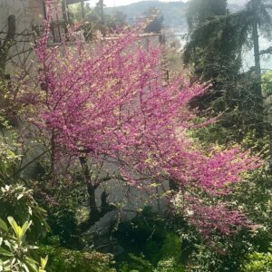 Demet Akbağ Instagram - #1mayısişçiveemekçibayramıkutluolsun