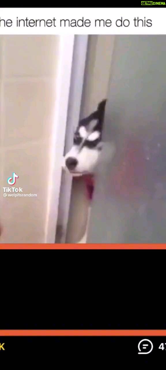 Demetria McKinney Instagram - #goodmorning #morninggiggle