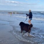 Denise Dumas Instagram - Rocco conoció el mar. Por su raza creí que iba a ser Baywatch pero resultó que no tenía el don!!!! Jajajaja! Una ola lo pasó por arriba y terminó su amor por el mar… lo que le gustó mucho es mirarlo! Jajjaja! ❤️