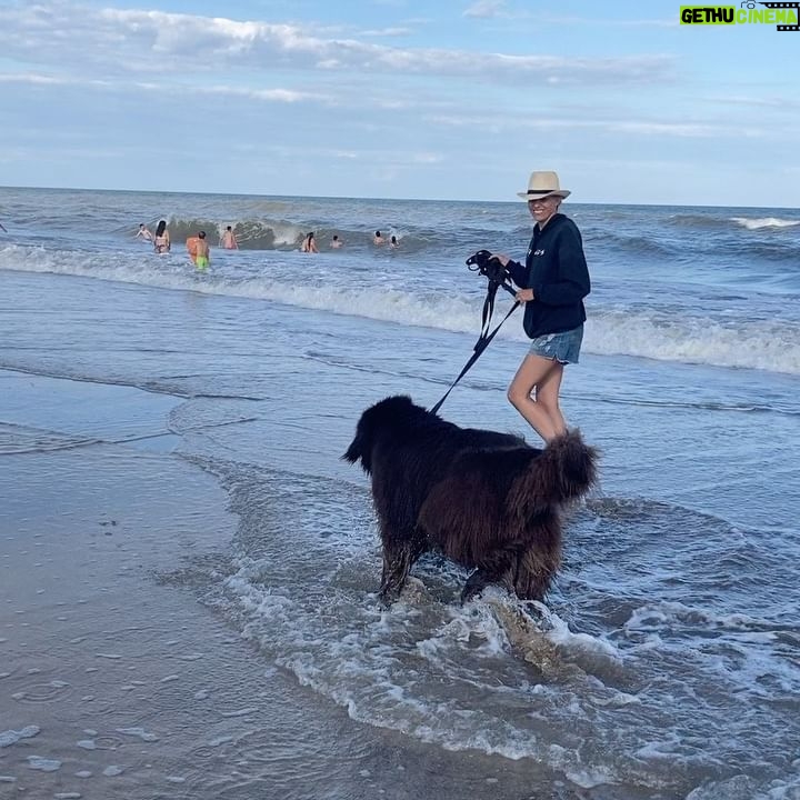 Denise Dumas Instagram - Rocco conoció el mar. Por su raza creí que iba a ser Baywatch pero resultó que no tenía el don!!!! Jajajaja! Una ola lo pasó por arriba y terminó su amor por el mar… lo que le gustó mucho es mirarlo! Jajjaja! ❤️