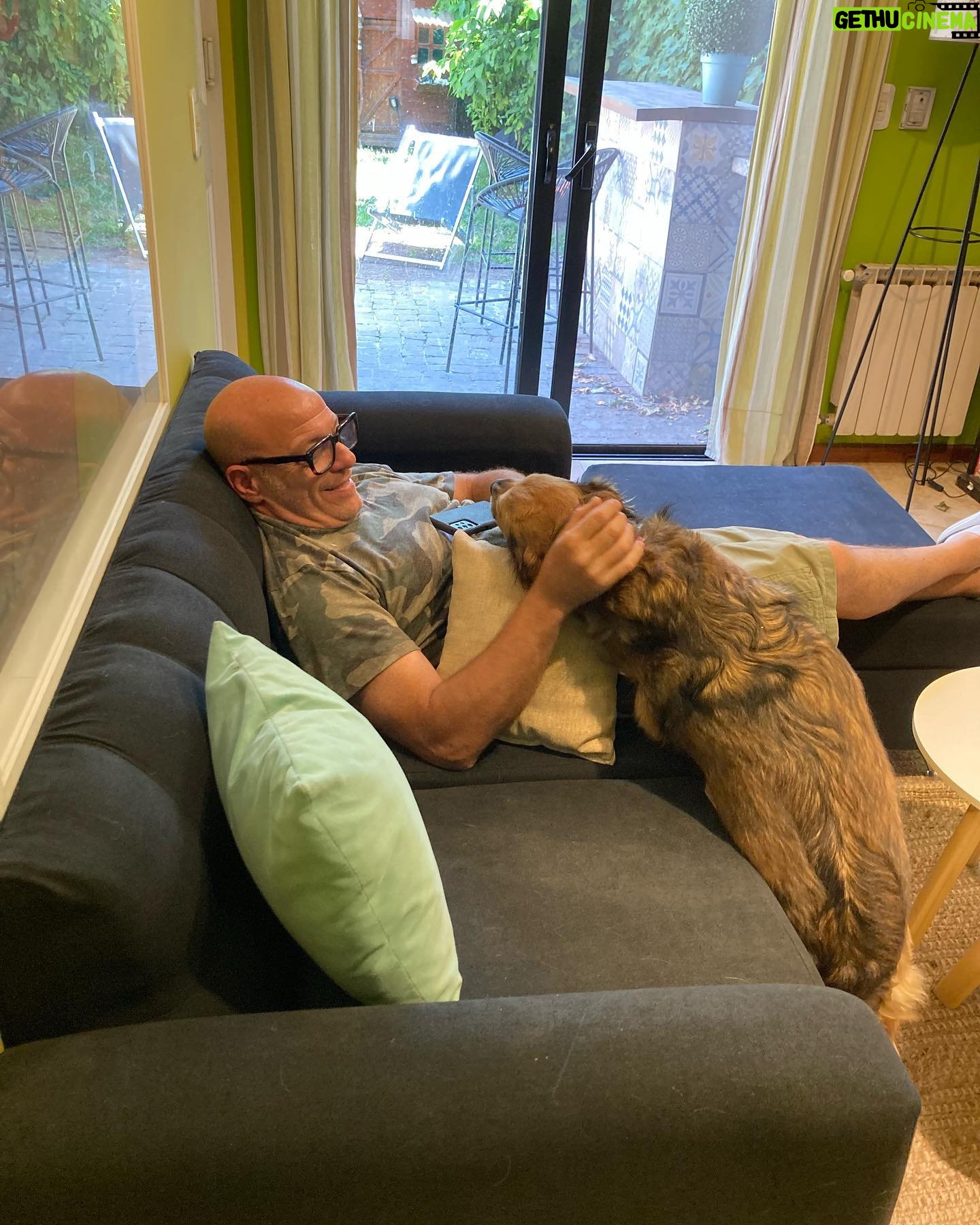 Denise Dumas Instagram - Nuevo sillón y Cala ya se pelea con @campiobra por él!!! Jajajja!!! @dalu_sillones