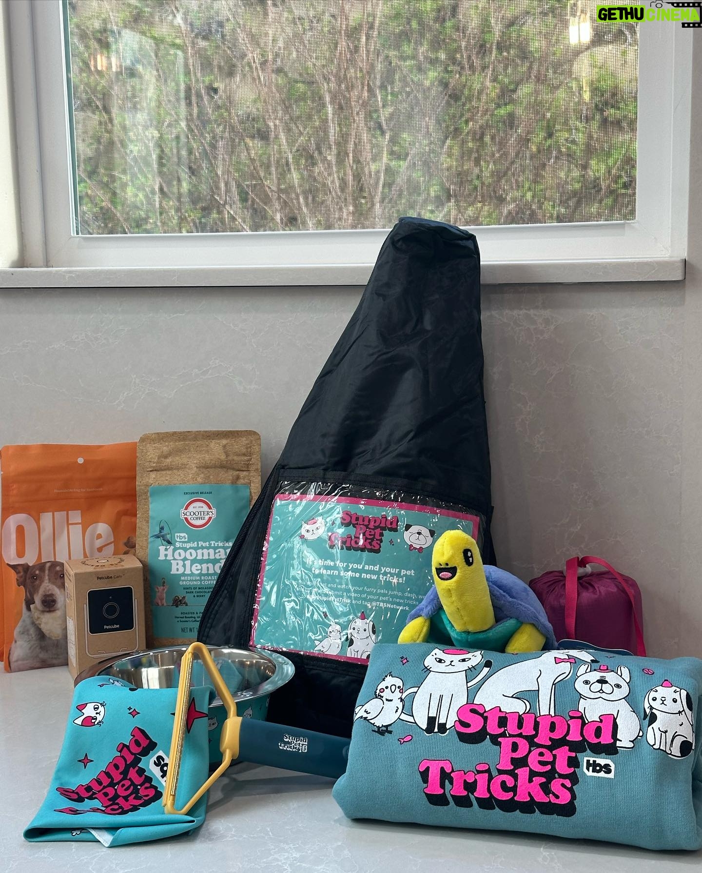 Denise Richards Instagram - Thank you so much #Stupidpettricks for the goodies! Baby is a picky girl with her treats, but she LOVES these!