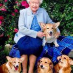 Denise Richards Instagram - Her Majesty Queen Elizabeth ll a lifetime of service with class, strength & dignity. My deepest condolences to the Royal Family and to the entire UK