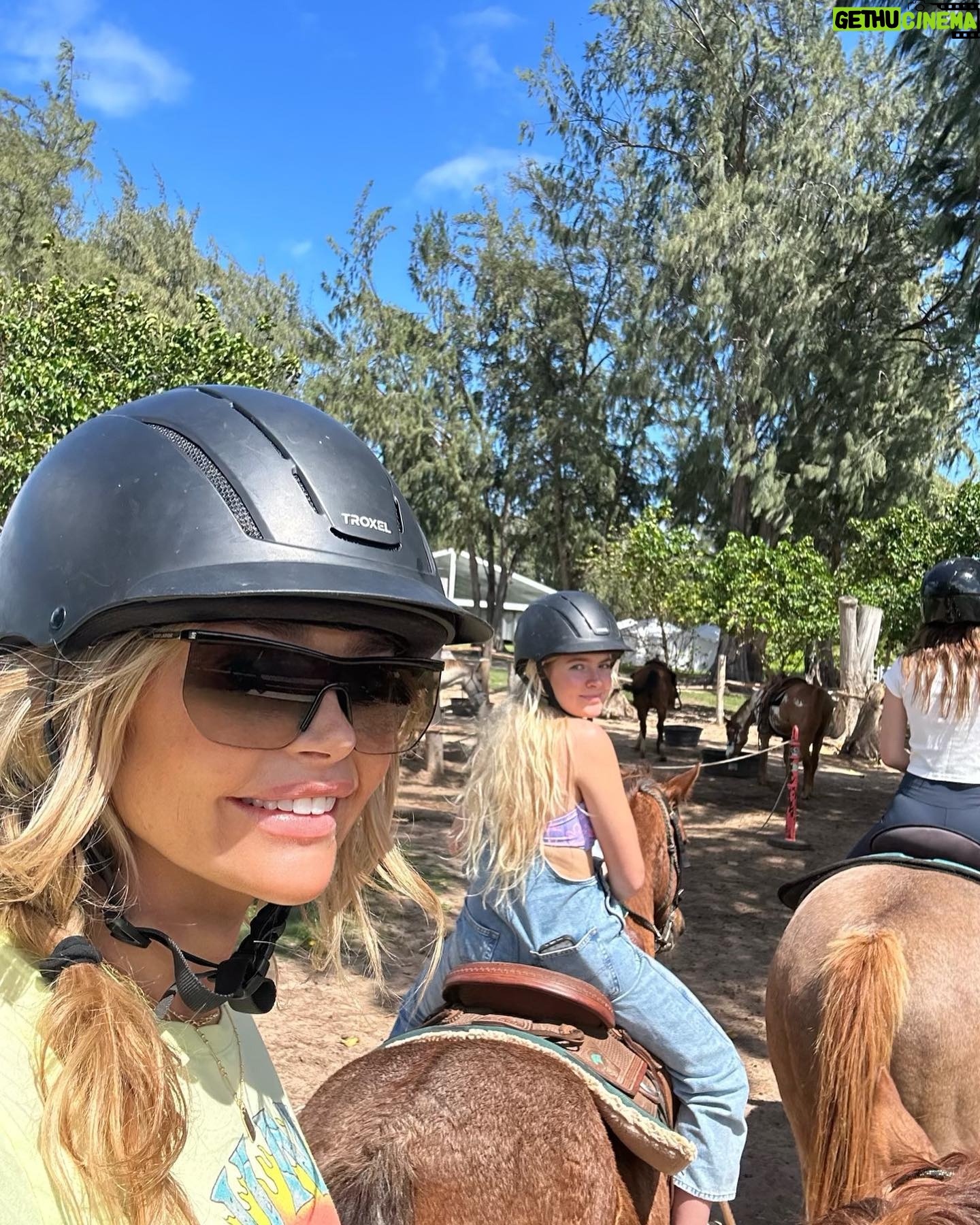 Denise Richards - 28.7K Likes - An amazing Hawaii trip @turtlebayresort to celebrate my birthday with my wonderful family and friend. The staff went above and beyond and I couldn’t be more grateful. I loved being around the lush nature and beautiful island! A truly amazing trip with my favorite people. 🐢🌺💛