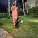 Denise Richards Instagram - An amazing Hawaii trip @turtlebayresort to celebrate my birthday with my wonderful family and friend. The staff went above and beyond and I couldn’t be more grateful. I loved being around the lush nature and beautiful island! A truly amazing trip with my favorite people. 🐢🌺💛