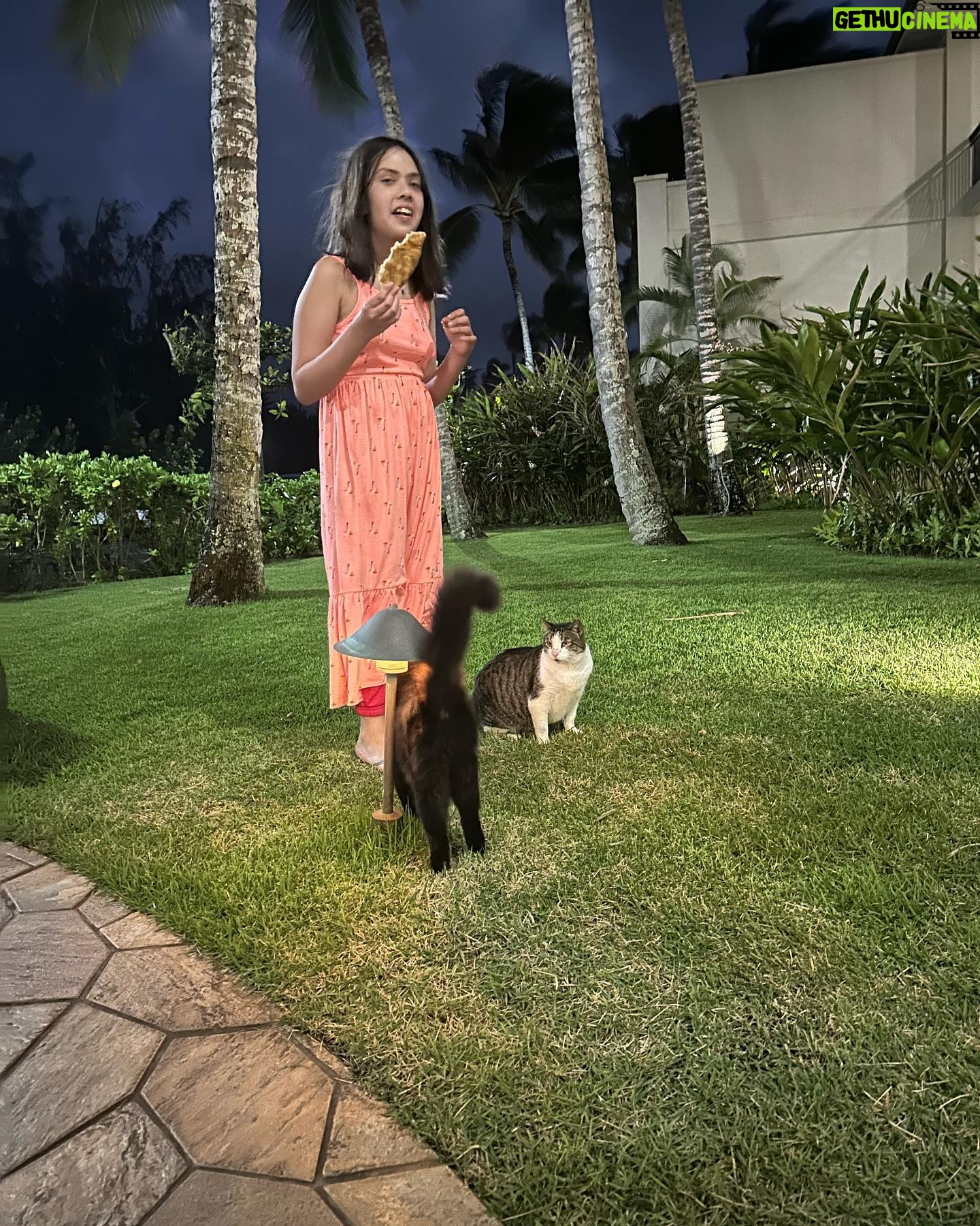 Denise Richards - 28.7K Likes - An amazing Hawaii trip @turtlebayresort to celebrate my birthday with my wonderful family and friend. The staff went above and beyond and I couldn’t be more grateful. I loved being around the lush nature and beautiful island! A truly amazing trip with my favorite people. 🐢🌺💛