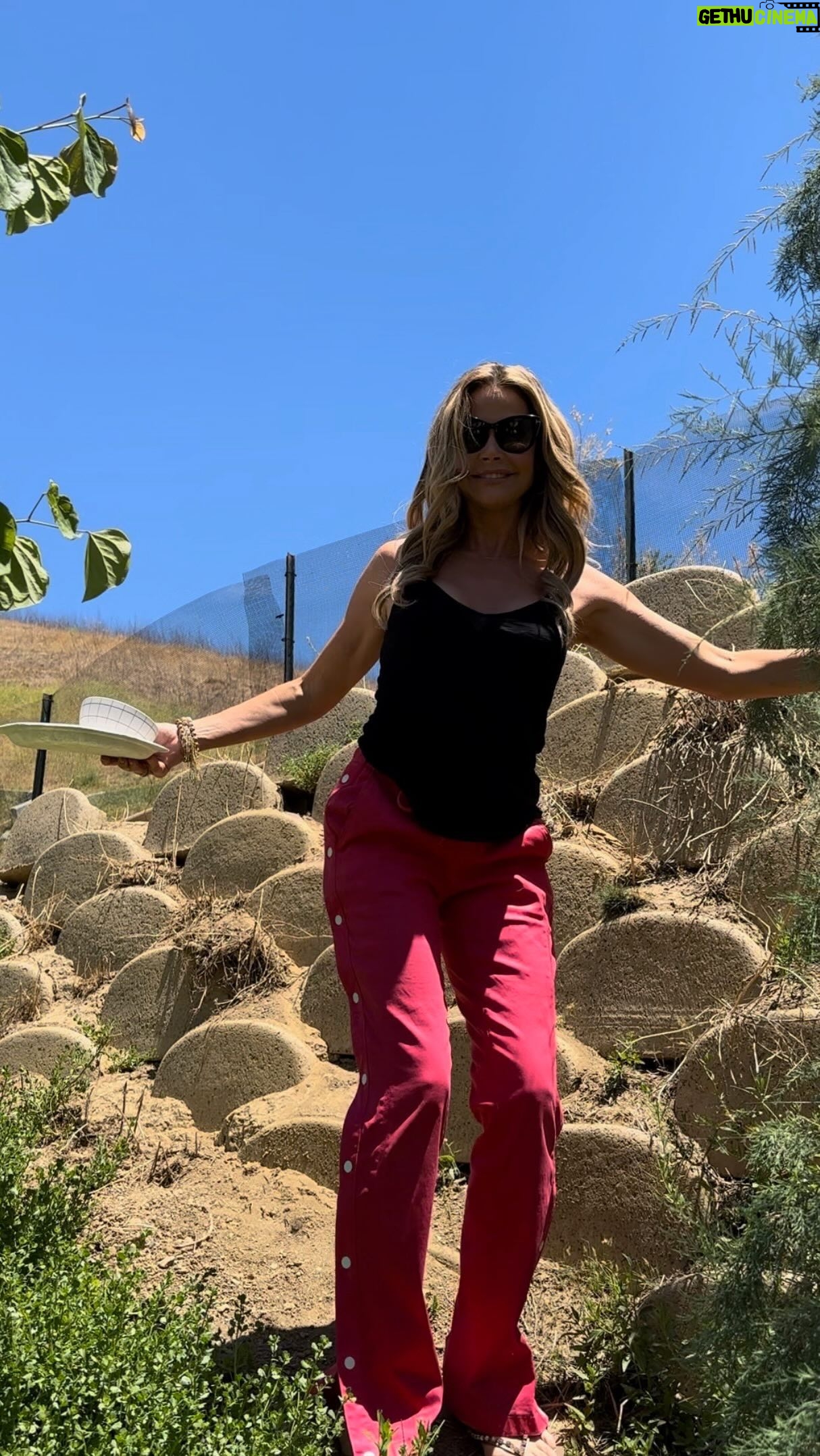 Denise Richards Instagram - With the heatwave in LA I couldn’t help but give water to these squirrels. I saw them trying to get water from a sprinkler. 🐿️