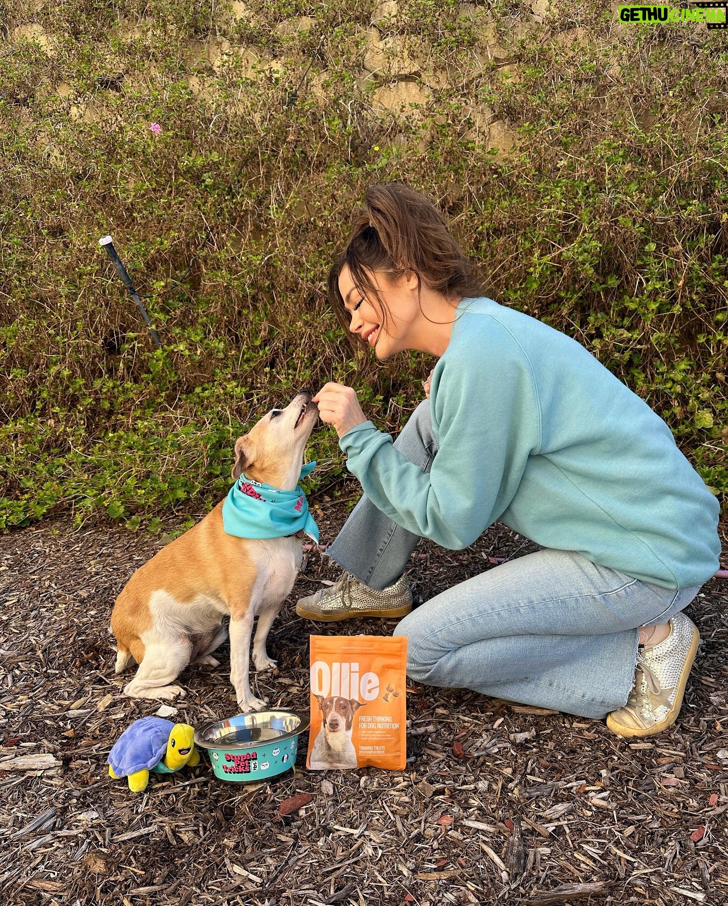 Denise Richards Instagram - Thank you so much #Stupidpettricks for the goodies! Baby is a picky girl with her treats, but she LOVES these!