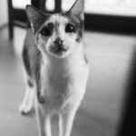 Deniz Işın Instagram - Love.