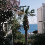 Deniz Işın Instagram – Fuji ve Bodrum