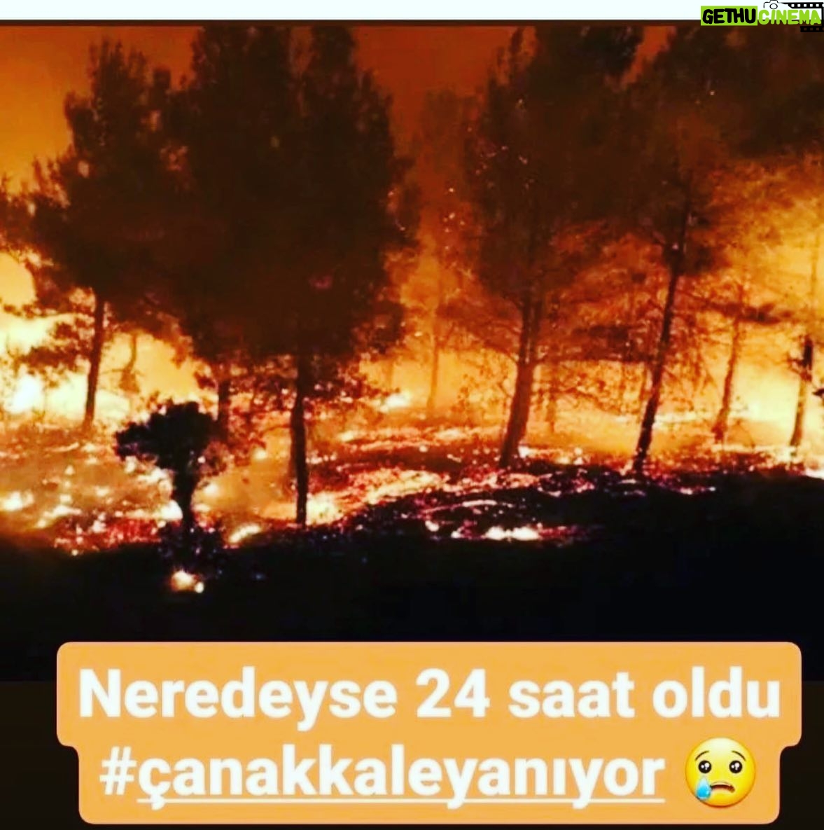 Derya Baykal Instagram - Çok geçmiş olsun canımız Çanakkale🙏 Üzüntümüz tarifsiz😔