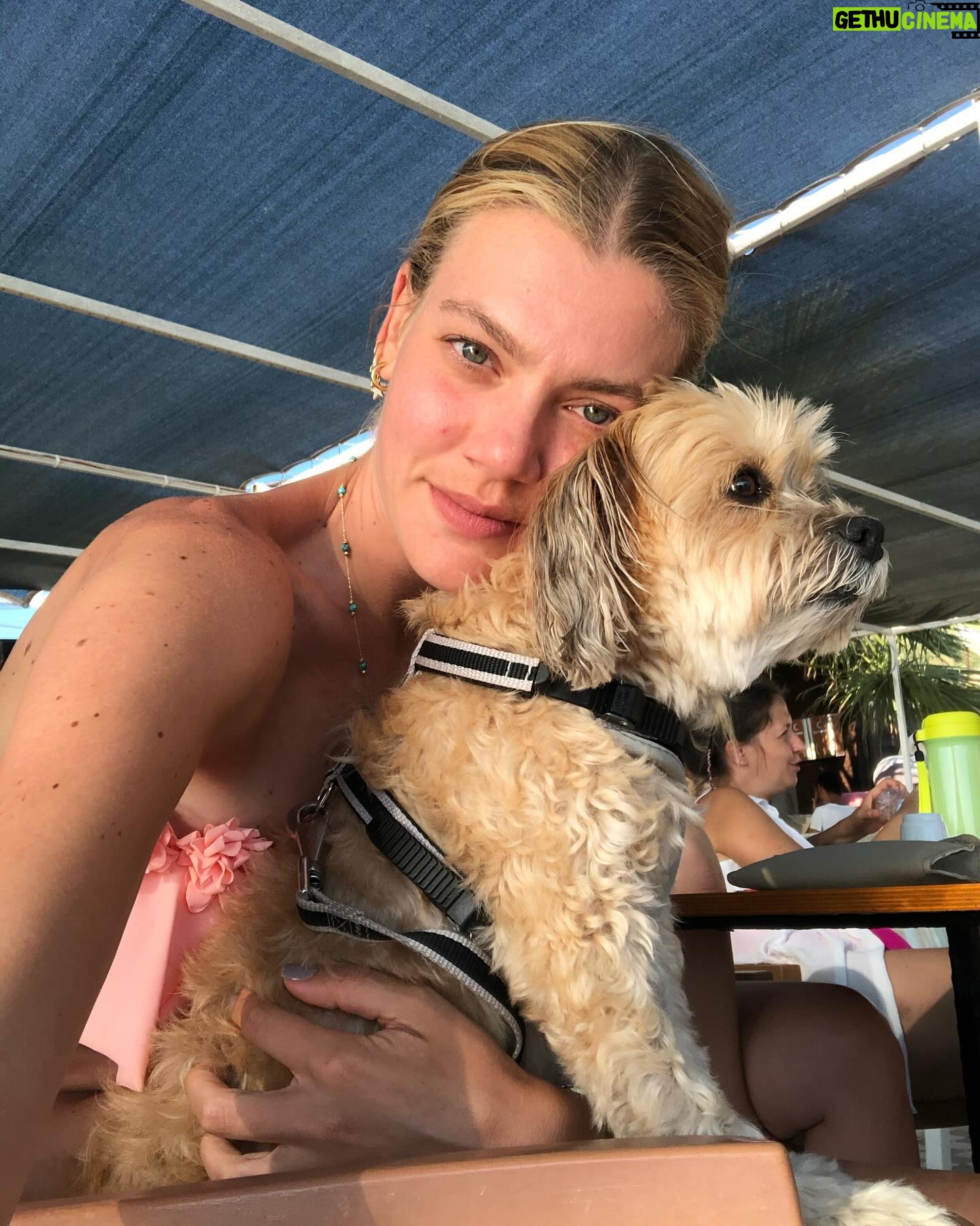 Derya Şensoy Instagram - canımın içi oğlum, seni hep çok seviyorum! Hoşçakal Papyon’um ❤️