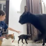 Devina Aureel Instagram – kehidupan