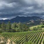Devon Aoki Instagram - My family’s winery is now open for visitors- by appointment. So proud and excited, please come visit us! Only the second winery ever in Knights Valley. Just north of Calistoga ❤️ @knightsbridgewinery @jbailey13b #mostbeautifulwineryever