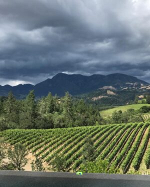 Devon Aoki Instagram - My family’s winery is now open for visitors- by appointment. So proud and excited, please come visit us!  Only the second winery ever in Knights Valley.  Just north of Calistoga ❤️ @knightsbridgewinery @jbailey13b #mostbeautifulwineryever