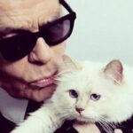 Devon Aoki Instagram - Karl Lagerfeld, 10 September 1933 – 19 February 2019. Rest In Peace 🌹💫
