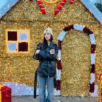 Devrim Özkan Instagram - jingle bells 🎄